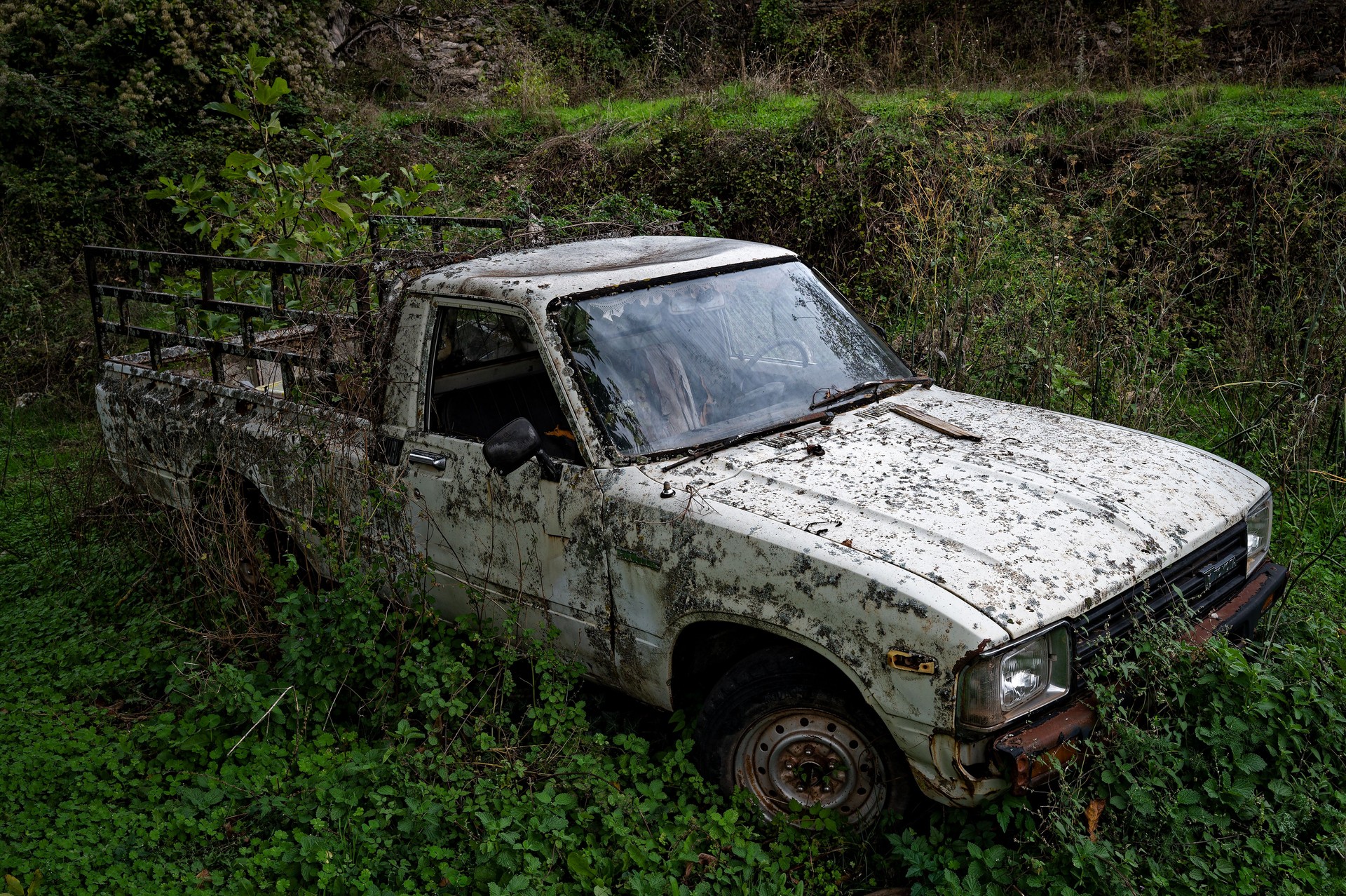 Abandoned car